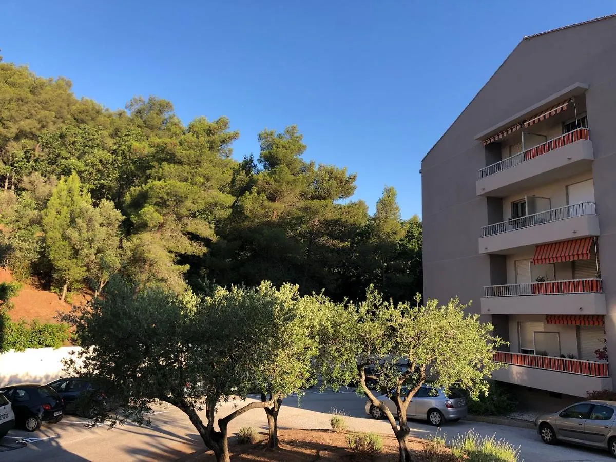 Grand Studio A Hyeres Entre Mer Et Ville location